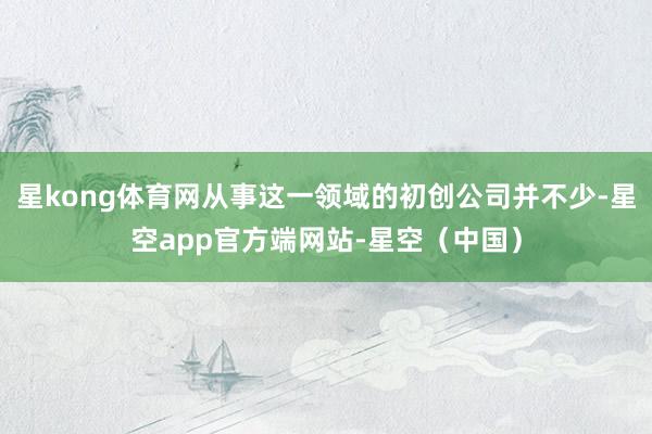 星kong体育网从事这一领域的初创公司并不少-星空app官方端网站-星空(中国)