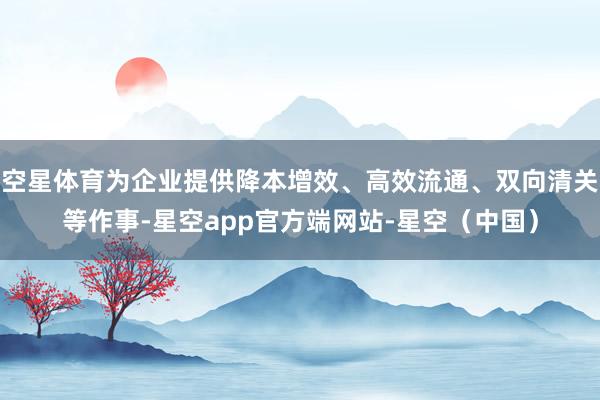 空星体育为企业提供降本增效、高效流通、双向清关等作事-星空app官方端网站-星空（中国）