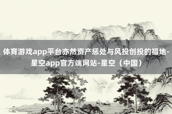 体育游戏app平台亦然资产惩处与风投创投的福地-星空app官方端网站-星空（中国）