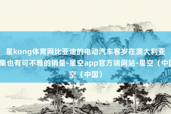 星kong体育网比亚迪的电动汽车客岁在澳大利亚市集也有可不雅的销量-星空app官方端网站-星空（中国）