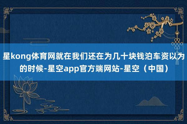 星kong体育网就在我们还在为几十块钱泊车资以为的时候-星空app官方端网站-星空(中国)